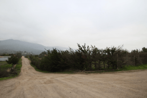 melipilla-(156251)-1