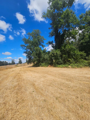 parcela-5000m2-en-villarrica-con-luz-1