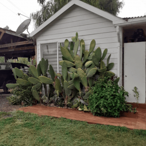 -5