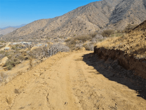 -5