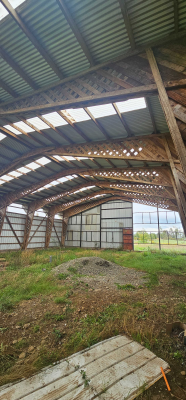 camino-temuco-chol-chol-(129530)-1