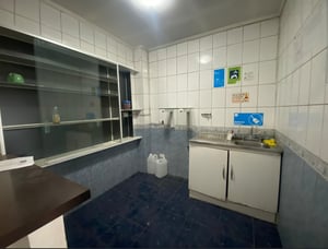 lstg539-6