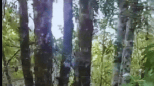-3