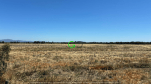 campo-de-48-ha-en-sector-bodega-en-longavi-1