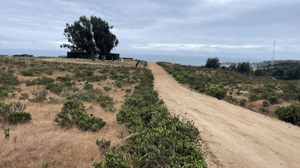 lindo-sitio-urbanizado-costa-huaquen-(69168)-1
