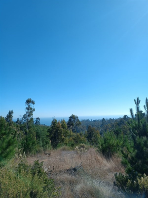 114075334-1