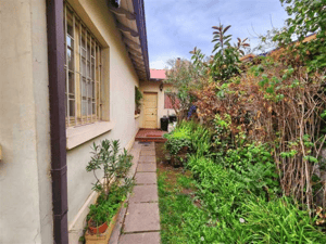 -5