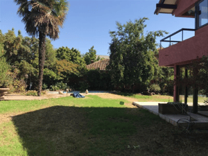 101053196-1