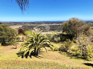 -5
