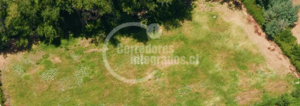 104075661-1