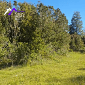 cabana-bosques-y-cerros-(73211)-1