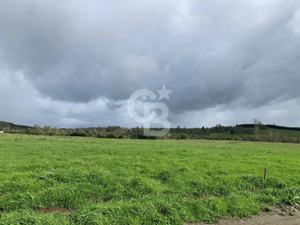 -5
