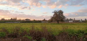 se-vende-terreno-pirque-en-condominio-(137925)-1