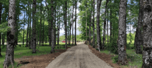 -3