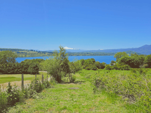 terreno-5000-m2-?-rol-propio---vista-al-lago-(1-1