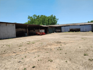 Terreno en Río Claro - CAMPO AGRICOLA 80 HA RÍO CLARO, APTITUD AVELLAN...-3 Terreno en Río Claro - CAMPO AGRICOLA 80 HA RÍO CLARO, APTITUD AVELLAN...-3