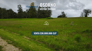 parcela-en-los-castanos,-trumao,-osorno-(162501)-1