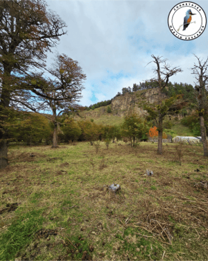 se-vende-parcela-villa-ortega-1