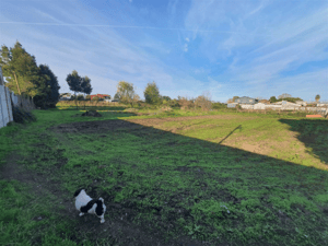 -4