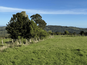 Terreno en Los Muermos - Espacio Versátil con Excelente Conectividad (16...-4 Terreno en Los Muermos - Espacio Versátil con Excelente Conectividad (16...-4