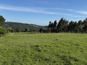 Terreno en Los Muermos - Espacio Versátil con Excelente Conectividad (16...-5 Terreno en Los Muermos - Espacio Versátil con Excelente Conectividad (16...-5