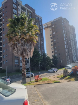 -4