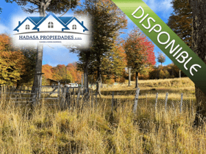 parcela-14000-m²-en-coyhaique-con-servicios-ur-1