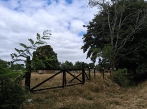 -3