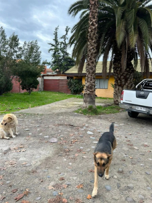 venta-casa-centro-de-penaflor-con-estacionamiento-1