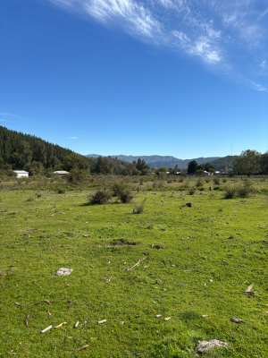 3-ha-con-potencial-turistico-linares-(163533)-1