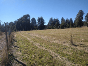 Terreno en Panguipulli - 513669-2 Terreno en Panguipulli - 513669-2
