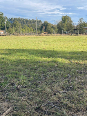 Terreno en Panguipulli - 513669-4 Terreno en Panguipulli - 513669-4
