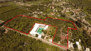 inversion-gran-plusvalia-terreno-15905-m²-(163-1