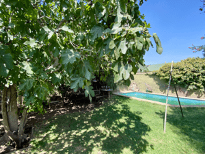 casa-400m2-terreno,-metro-el-parron-(63162)-1