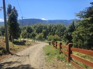 conaripe-1