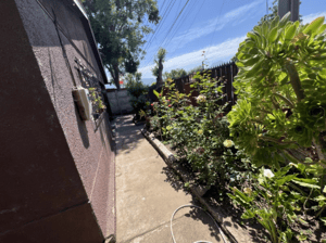 -4
