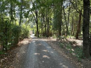 venta-terreno---sitio-4700mts-san-clemente-1