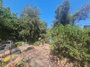 comunidad-ecologica-(145209)-1