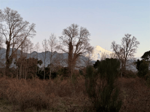 -4