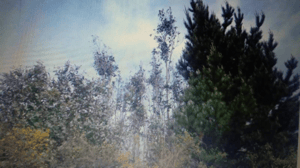 -5