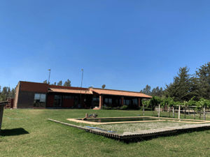 fundo-en-vichuquen-245-ha-(26879)-1