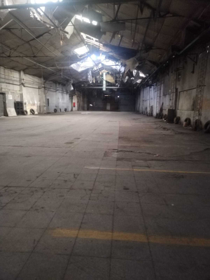 terreno-con-galpon,-sector-franklin,10000m2-(1-1