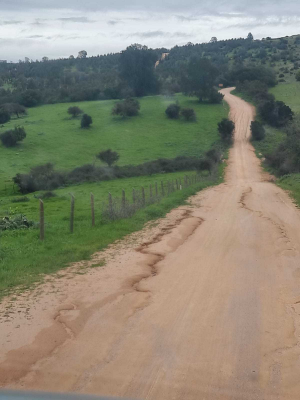 parcela-fundo-la-puntilla-(66913)-1