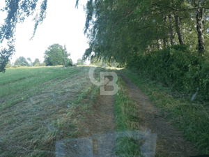 -5