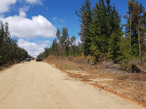 venta-sitio-5000-m2-a-15-min-pichilemu-1