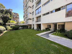 -3