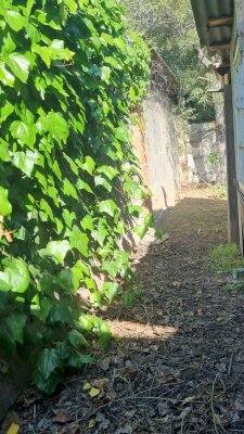 vendo-sitio-en-villa-triana-rancagua-1