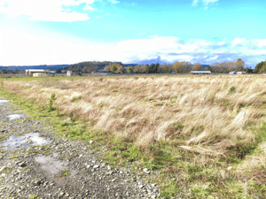 venta-parcela-de-5000-m2,-acceso-controlado,-c-1