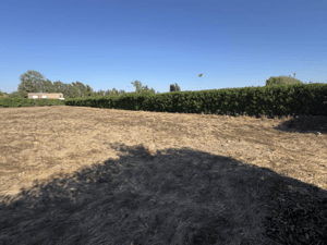 parcela-5000m2-en-condominio-asfaltado-en-caler-1