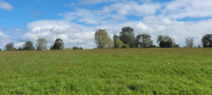 parcelas-5000m2-oportunidad-inversion!!!-1